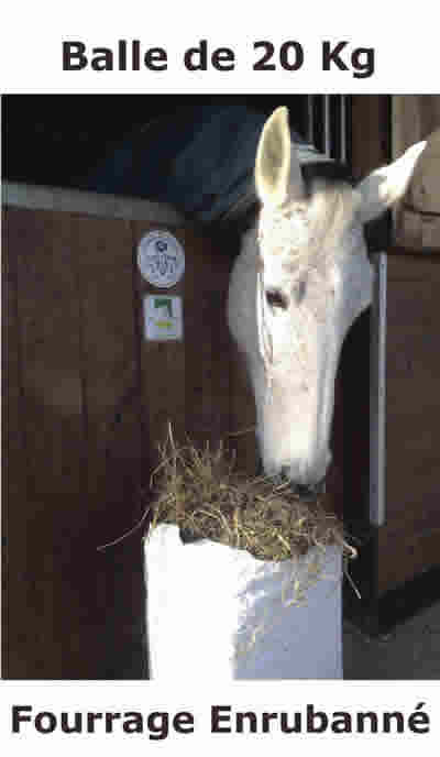 foin enrubanné, fourrage enrubanné, foin sans poussière